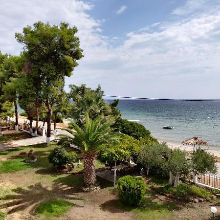 Entire Appartment 50M From Sea - Spiros Metamorfosi  Eksteriør billede