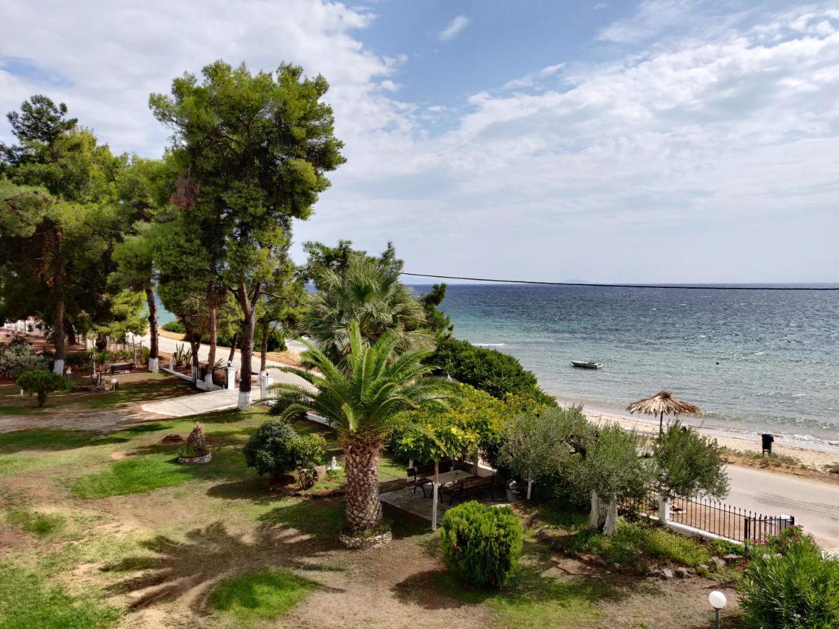 Entire Appartment 50M From Sea - Spiros Metamorfosi  Eksteriør billede