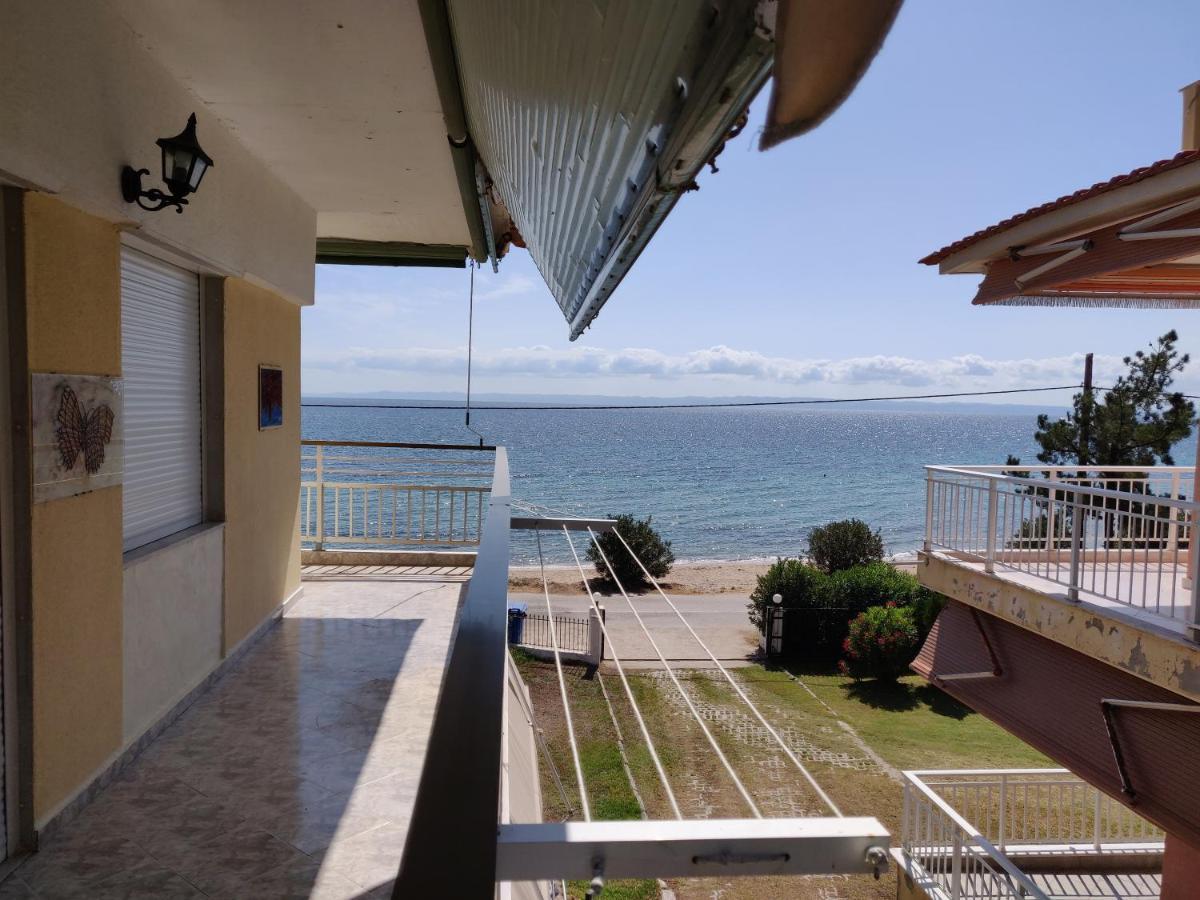 Entire Appartment 50M From Sea - Spiros Metamorfosi  Eksteriør billede
