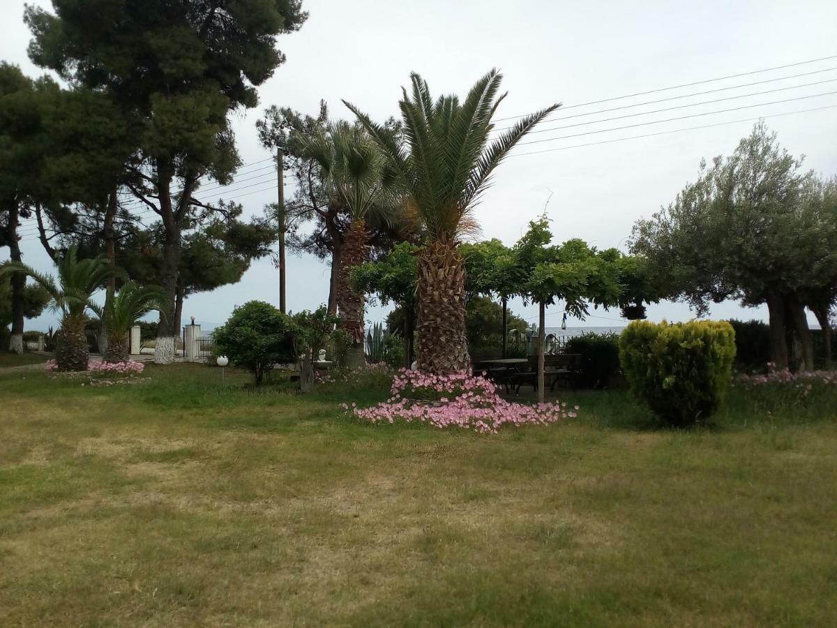 Entire Appartment 50M From Sea - Spiros Metamorfosi  Eksteriør billede